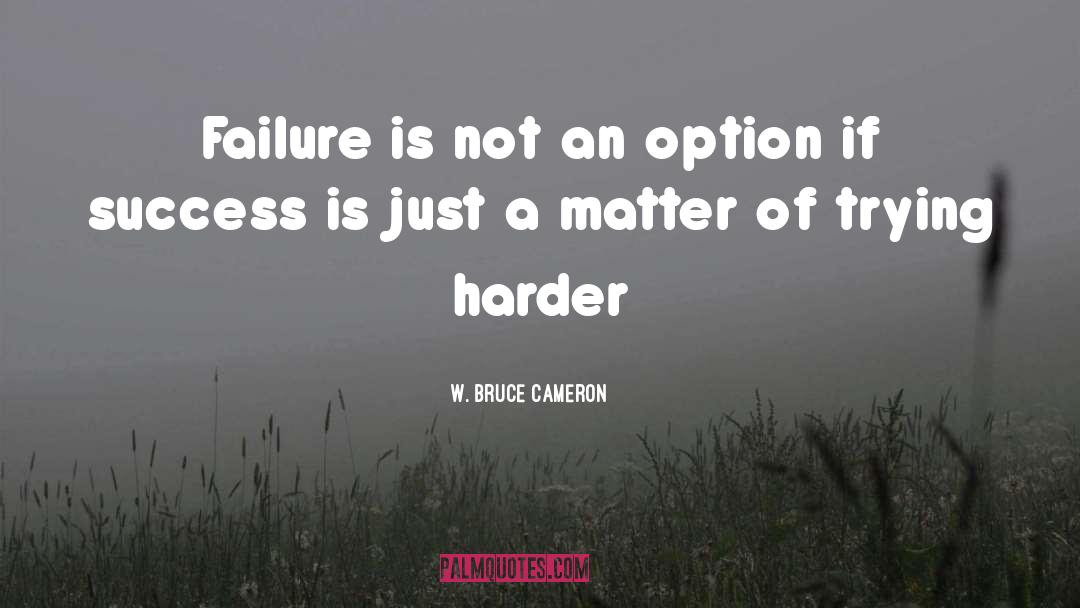 Failure Is Not An Option quotes by W. Bruce Cameron