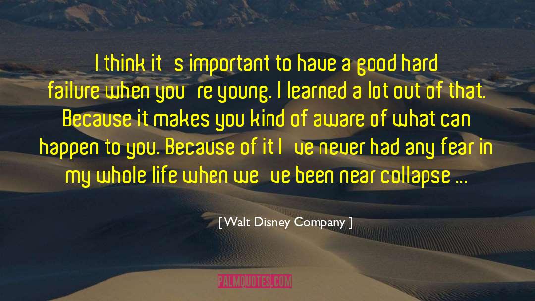 Failure Makes You Wiser quotes by Walt Disney Company