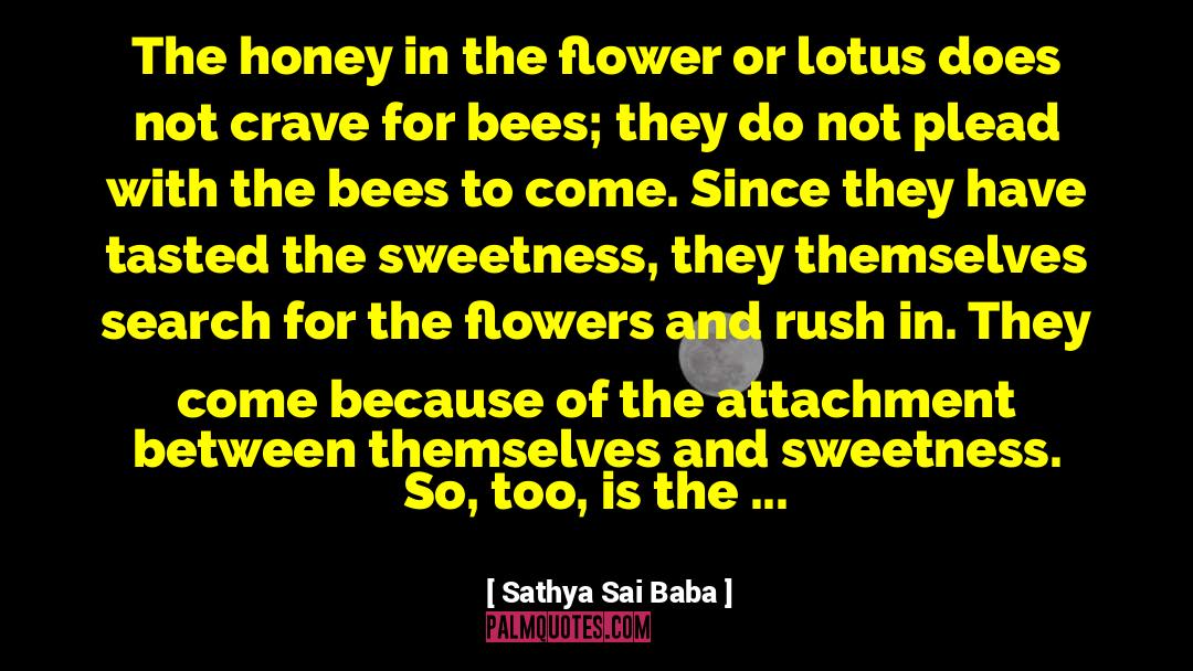 Failure Relationship quotes by Sathya Sai Baba