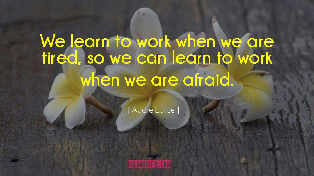 Failure To Learn quotes by Audre Lorde