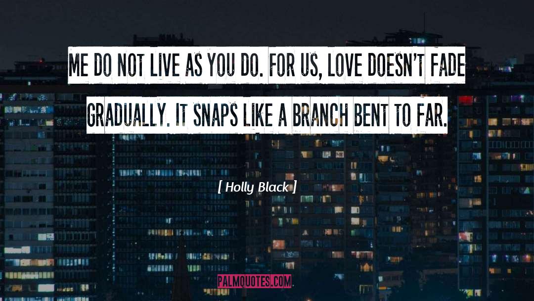 Failure To Love quotes by Holly Black