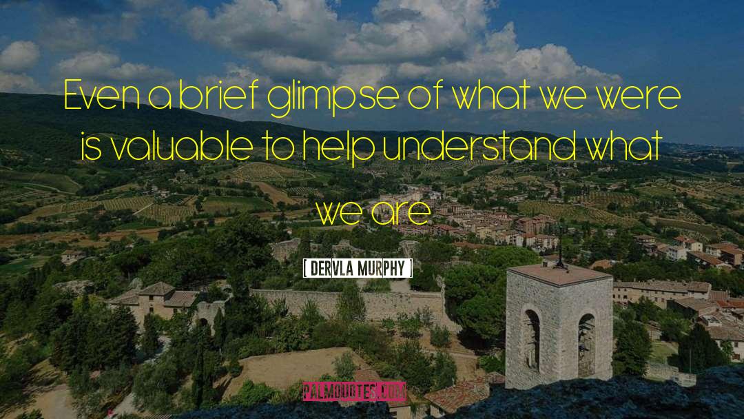 Failure To Understand quotes by Dervla Murphy