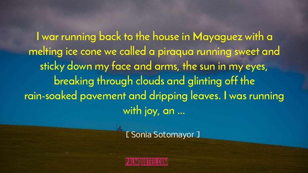 Failures In Life quotes by Sonia Sotomayor