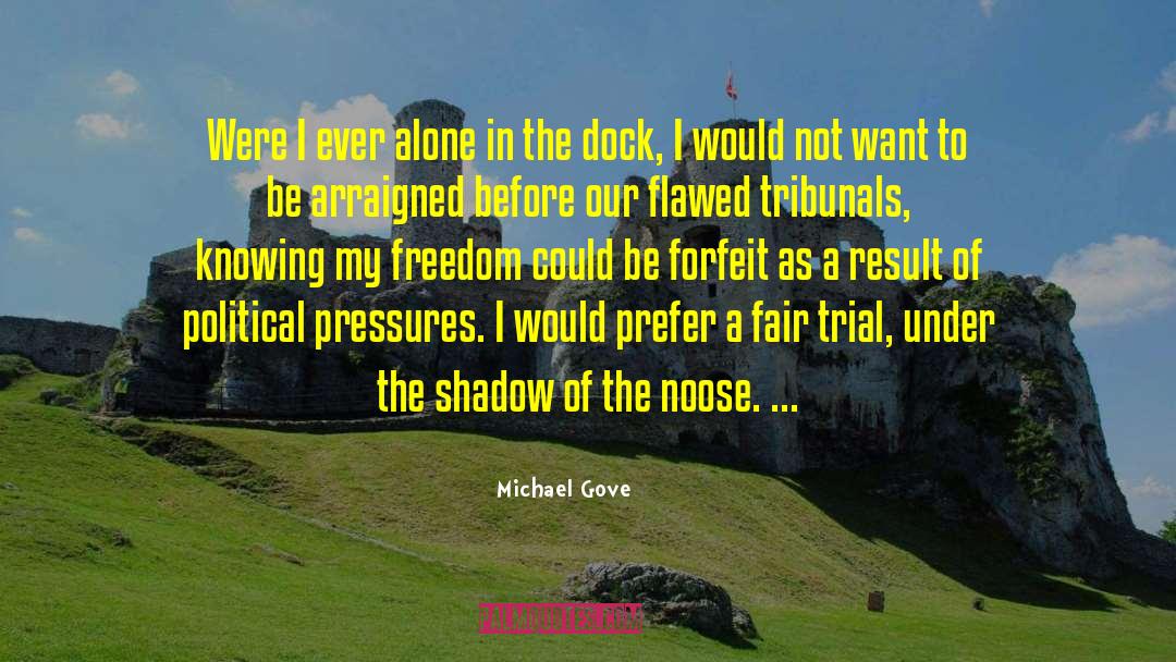 Fair Trial quotes by Michael Gove