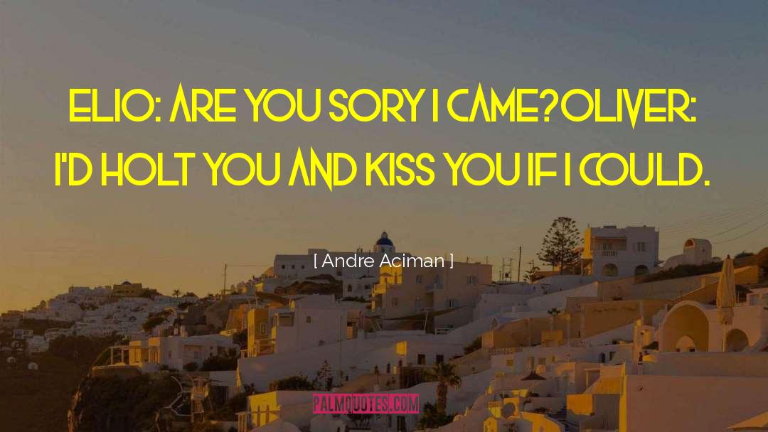 Fairie Kiss quotes by Andre Aciman