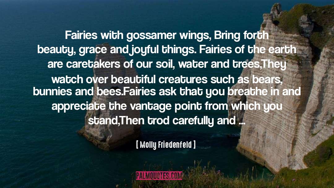 Fairies quotes by Molly Friedenfeld