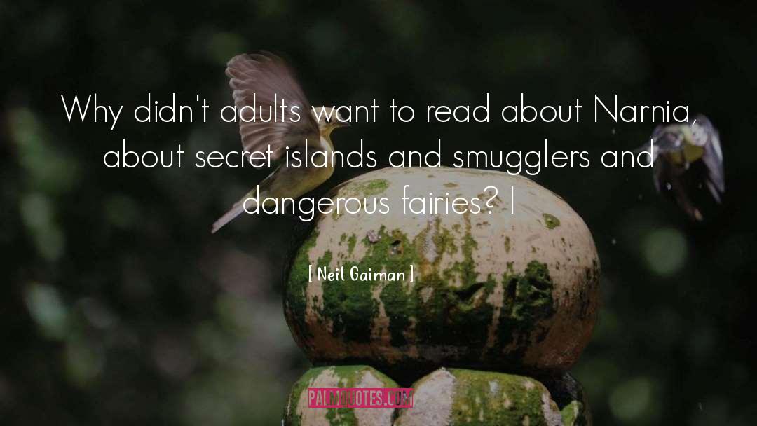 Fairies quotes by Neil Gaiman