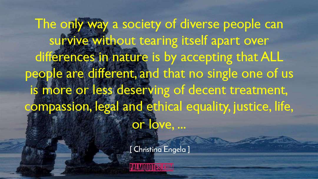 Fairness And Equality quotes by Christina Engela