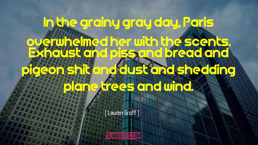 Fairy Dust quotes by Lauren Groff