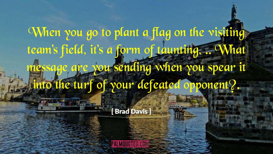 Fairy Flag quotes by Brad Davis