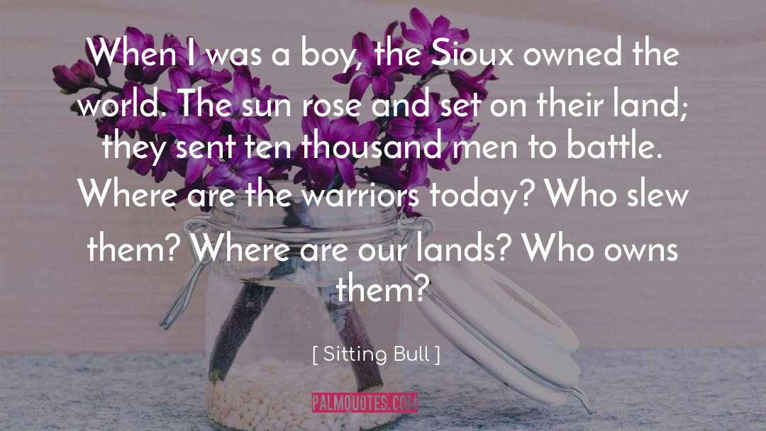 Fairy Land quotes by Sitting Bull