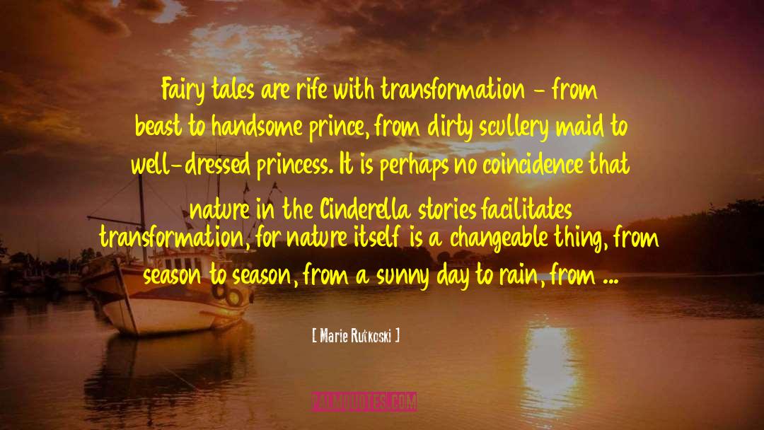Fairy Tales For Adults quotes by Marie Rutkoski