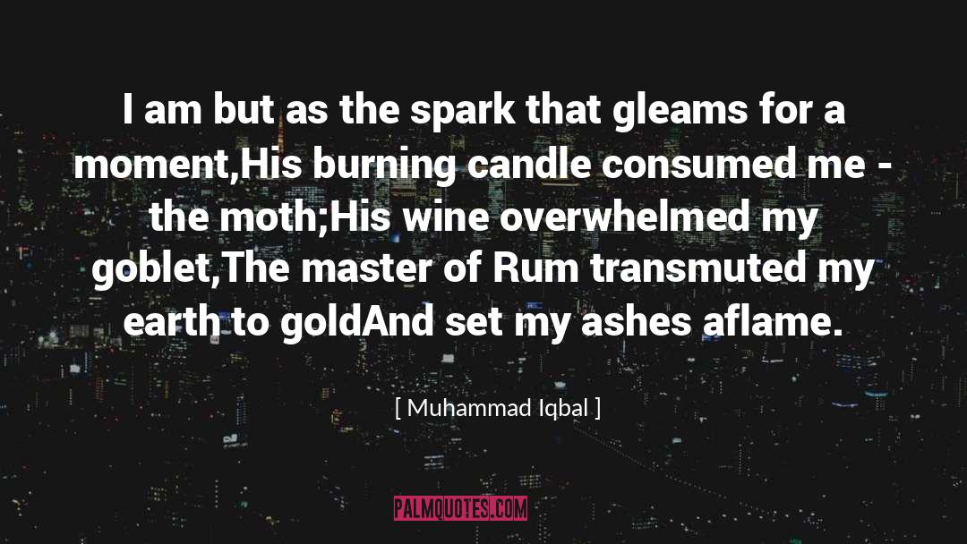 Fairy Wine quotes by Muhammad Iqbal