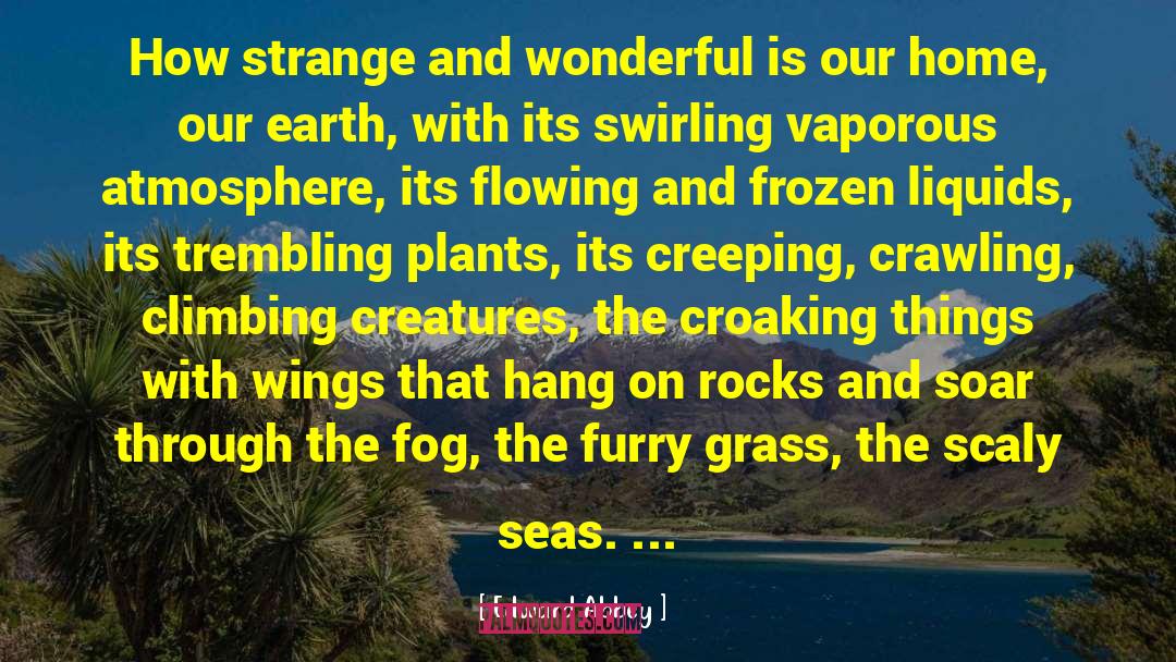 Fairytale Creatures quotes by Edward Abbey