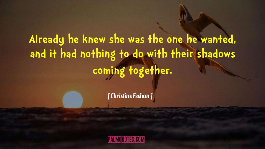 Fairytale Romance quotes by Christine Feehan