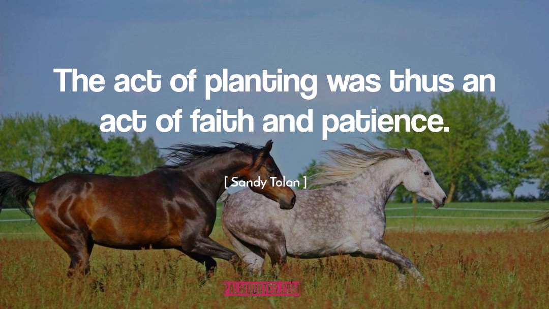 Faith And Patience quotes by Sandy Tolan