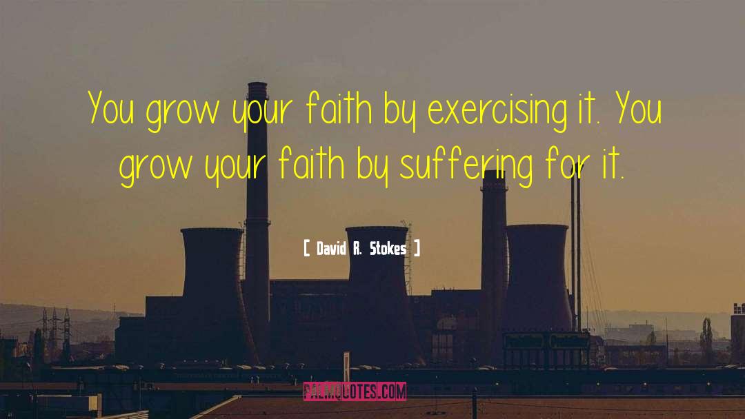 Faith Trust quotes by David R. Stokes