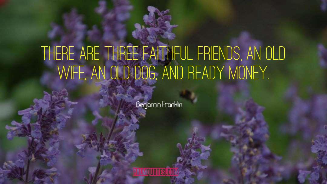Faithful Friends quotes by Benjamin Franklin