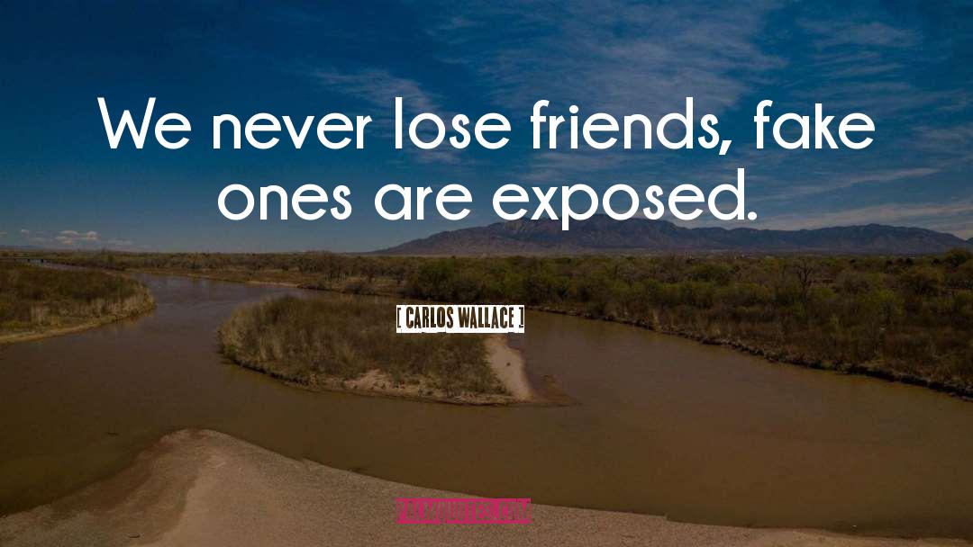 Fake Love quotes by Carlos Wallace