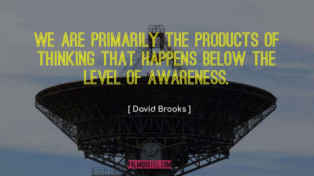 Fake Products quotes by David Brooks