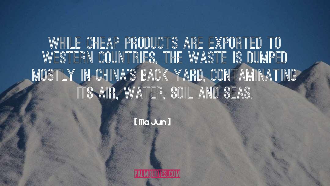 Fake Products quotes by Ma Jun