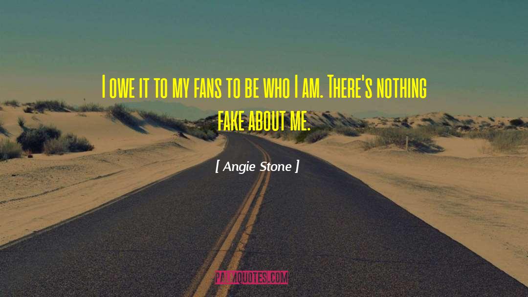 Fake Supporter quotes by Angie Stone