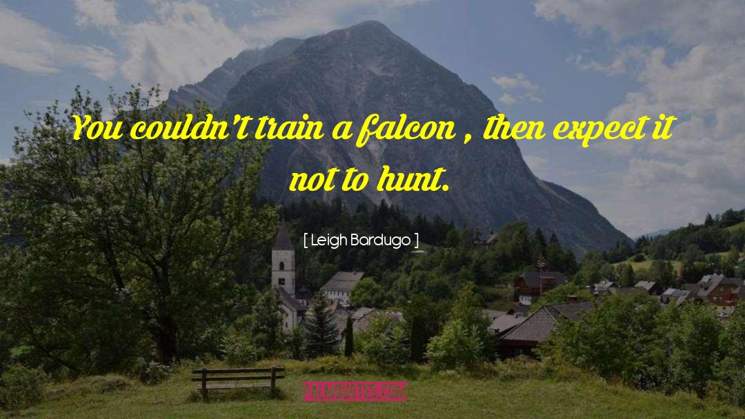 Falcon quotes by Leigh Bardugo