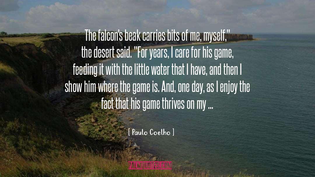 Falcon quotes by Paulo Coelho
