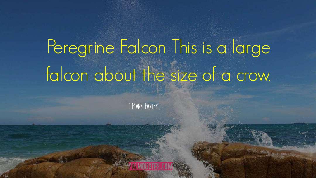 Falcon quotes by Mark Farley