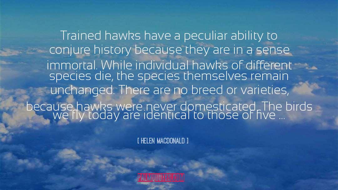 Falconer quotes by Helen Macdonald