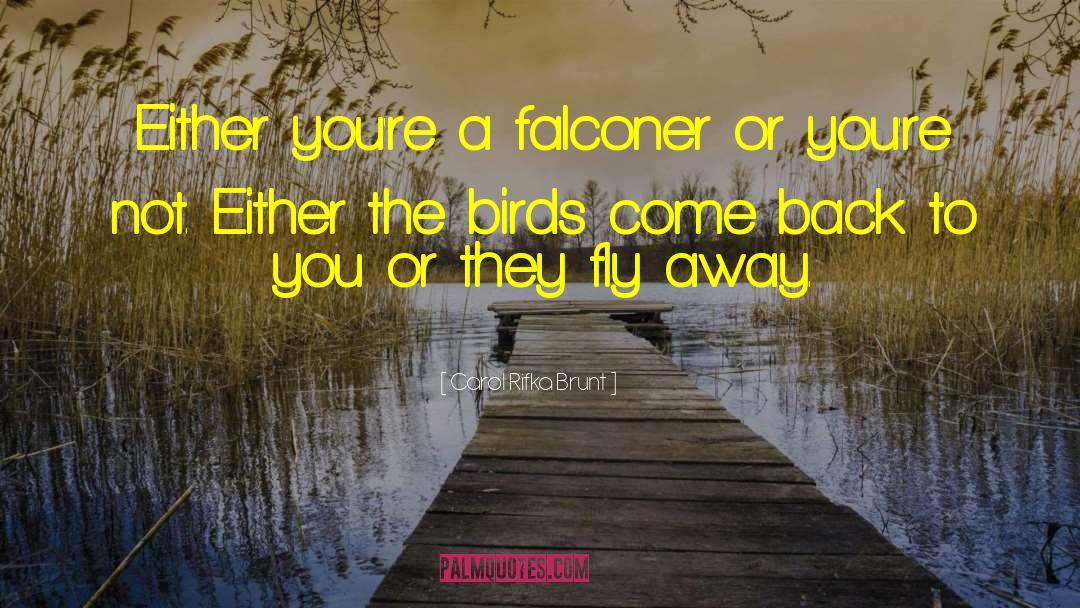 Falconer quotes by Carol Rifka Brunt