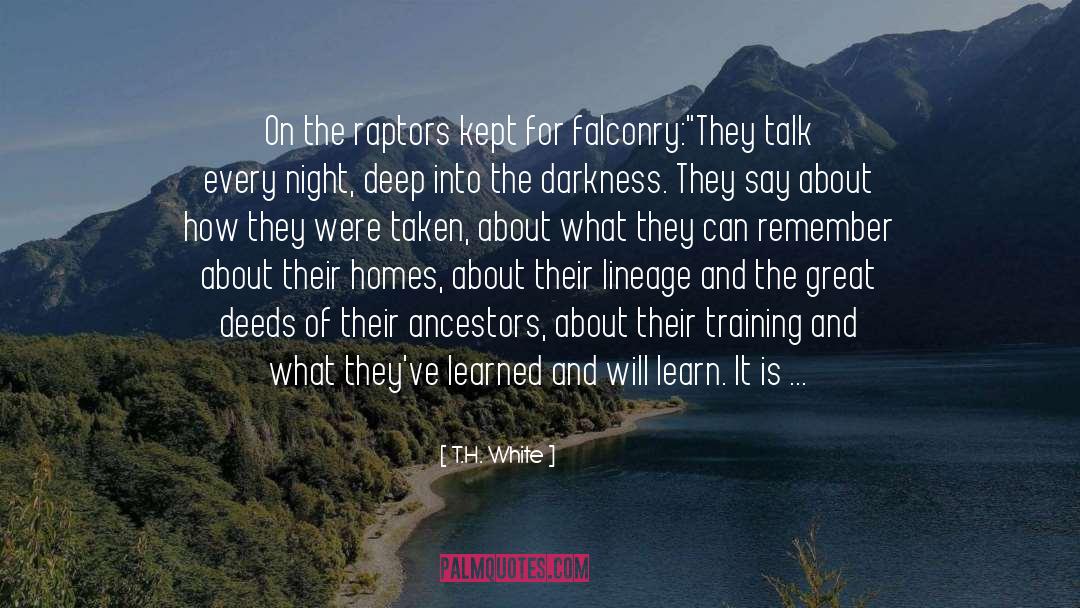 Falconry quotes by T.H. White