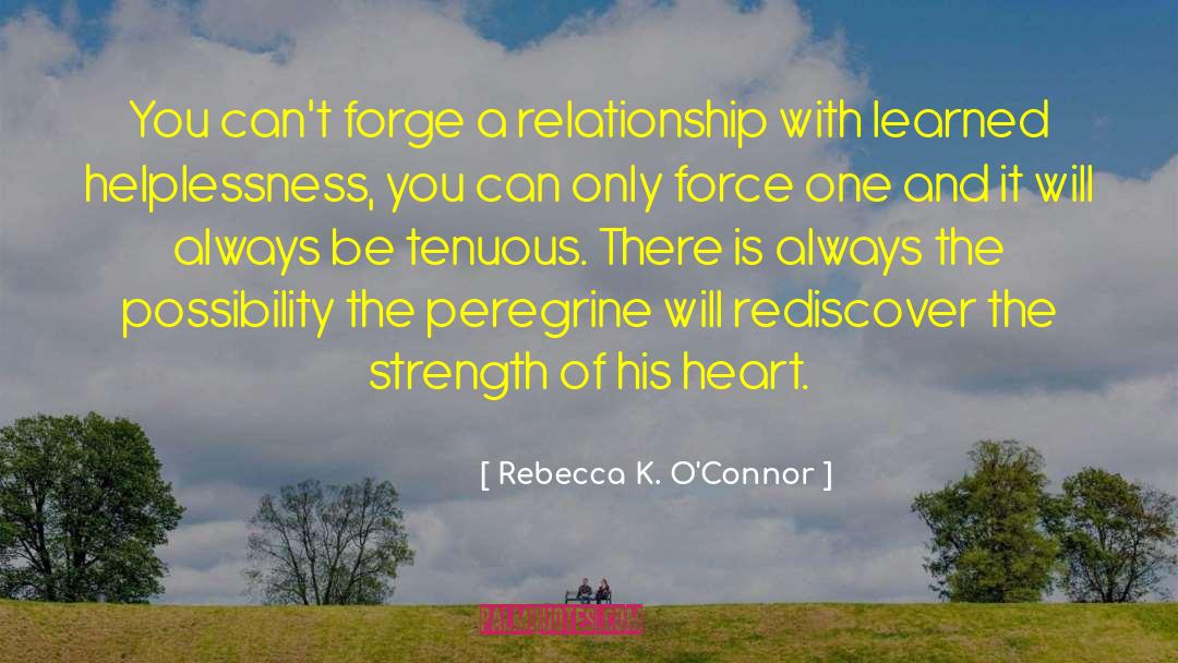 Falconry quotes by Rebecca K. O'Connor