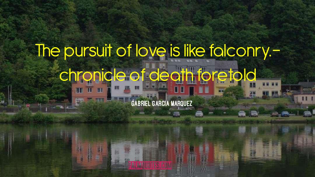 Falconry quotes by Gabriel Garcia Marquez