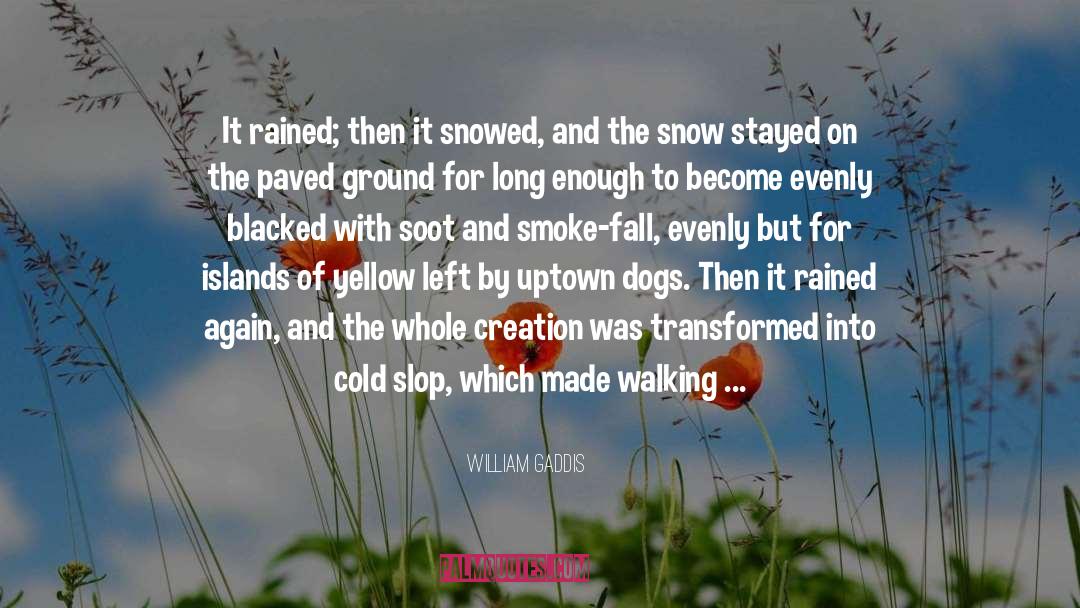 Falkland Islands quotes by William Gaddis