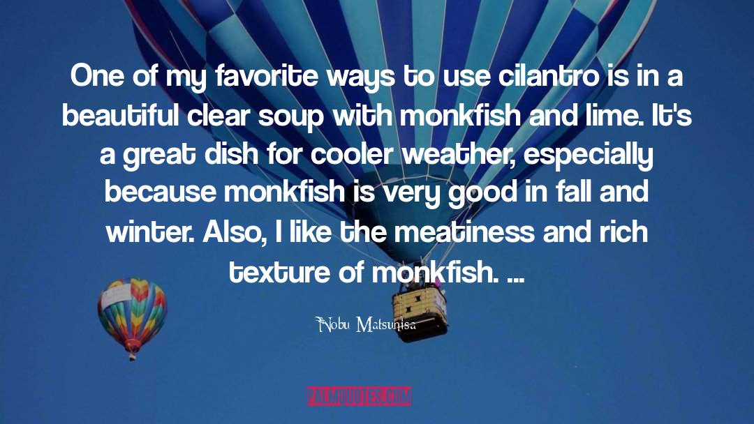 Fall And Winter quotes by Nobu Matsuhisa