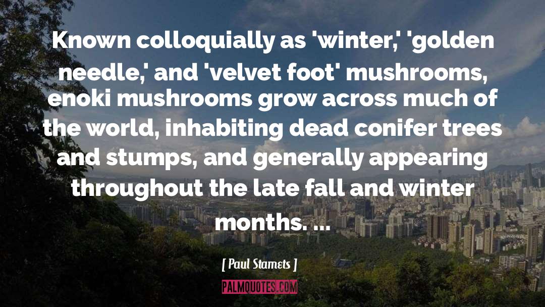 Fall And Winter quotes by Paul Stamets