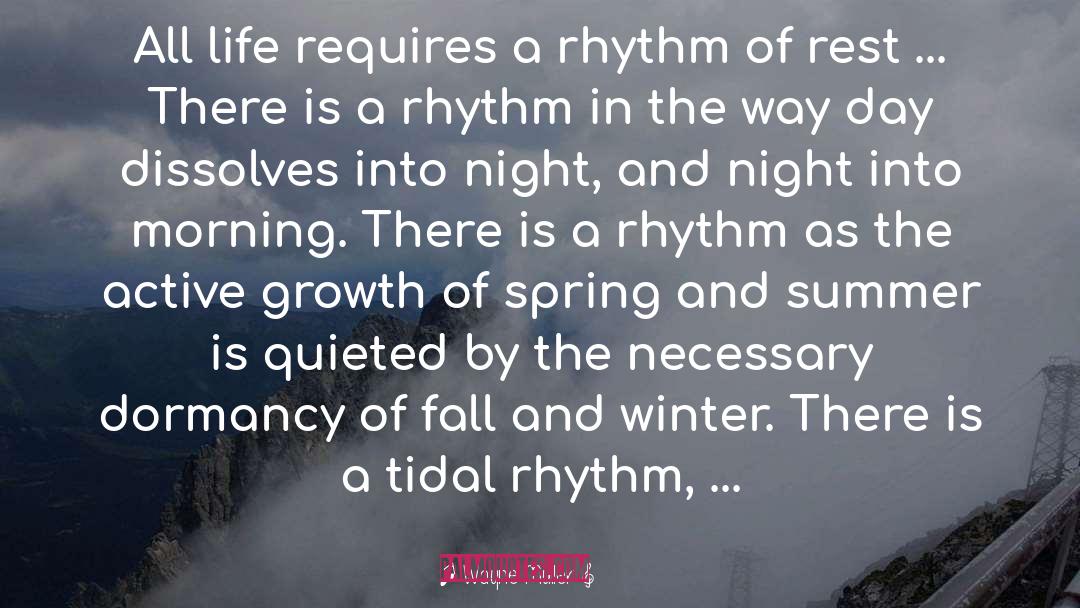 Fall And Winter quotes by Wayne Muller