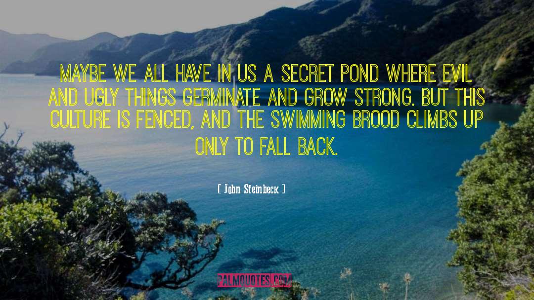 Fall Back quotes by John Steinbeck