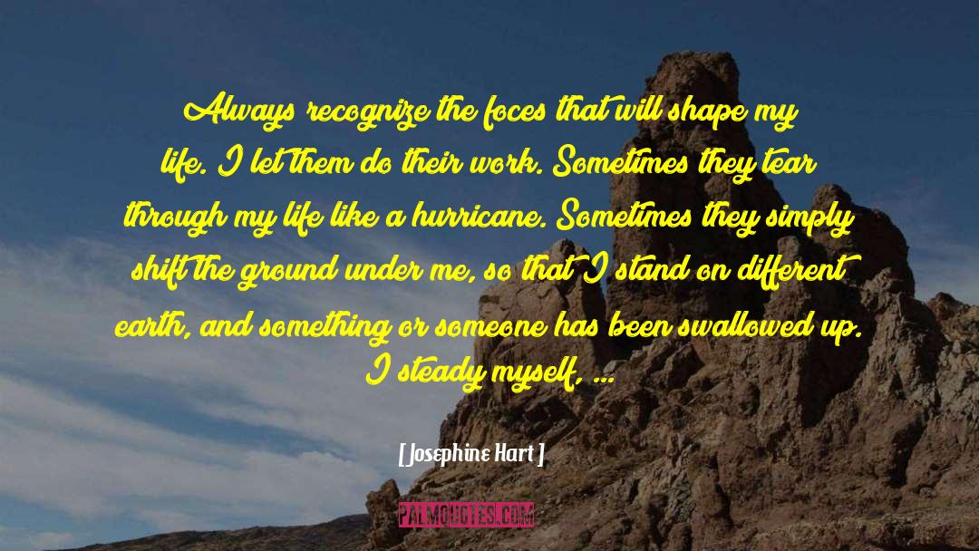 Fall Down And Stand Up quotes by Josephine Hart