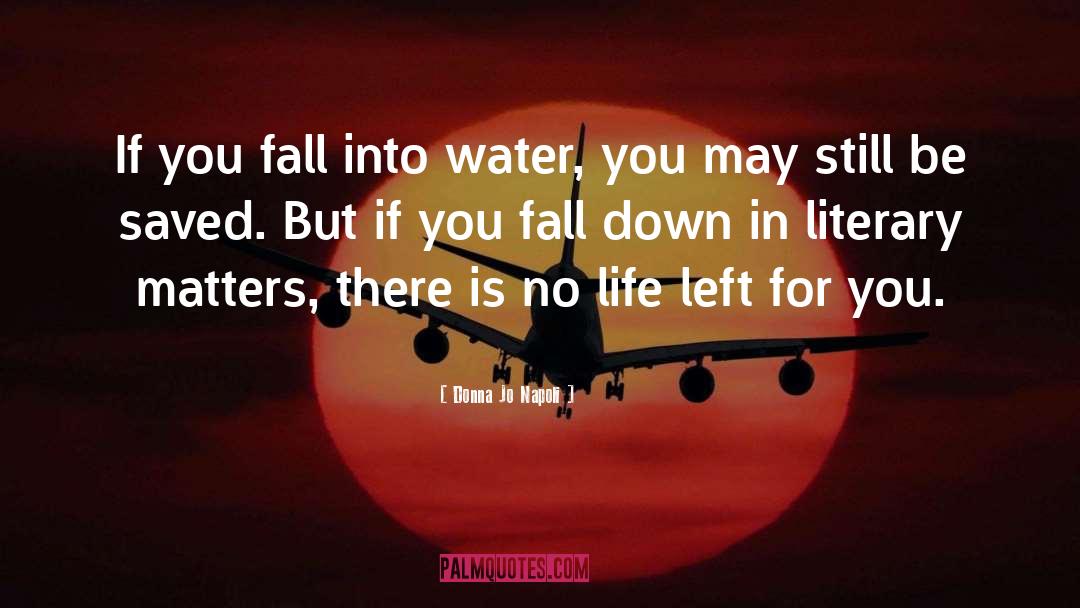 Fall Down quotes by Donna Jo Napoli