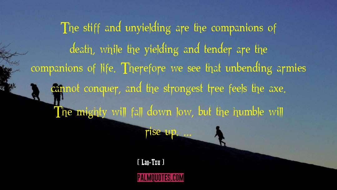 Fall Down quotes by Lao-Tzu
