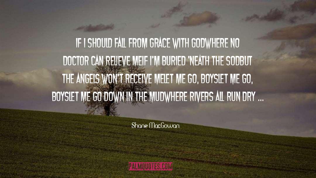 Fall From Grace quotes by Shane MacGowan