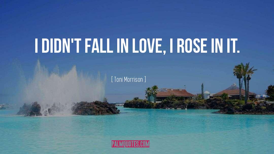 Fall In Love Quick quotes by Toni Morrison