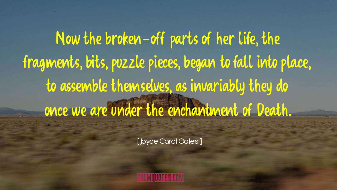 Fall Into Place quotes by Joyce Carol Oates