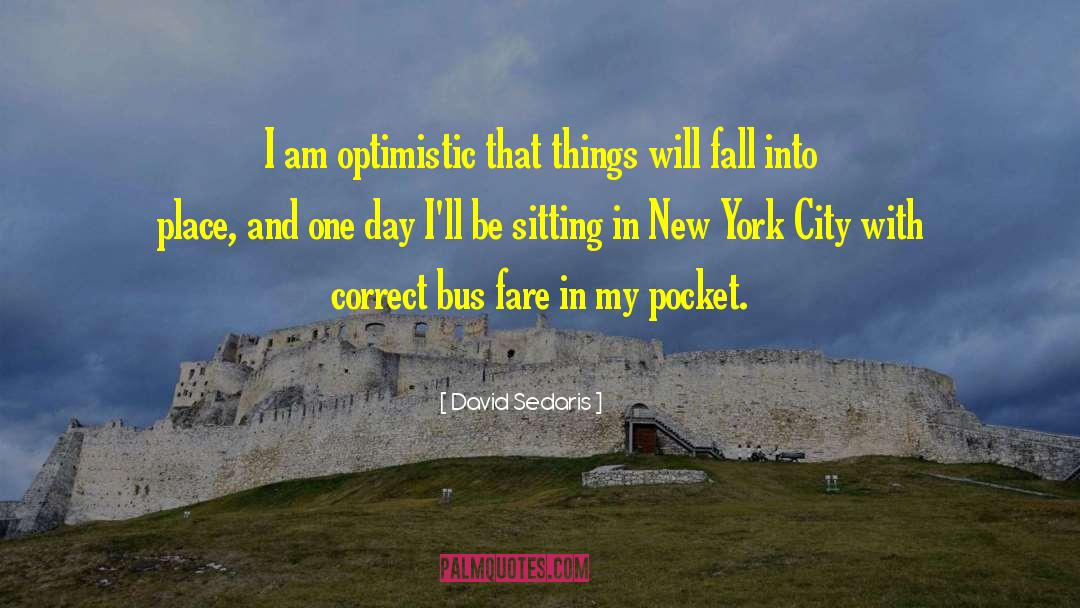 Fall Into Place quotes by David Sedaris