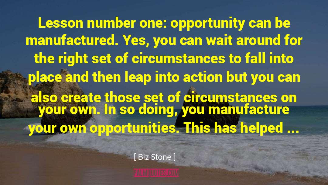 Fall Into Place quotes by Biz Stone