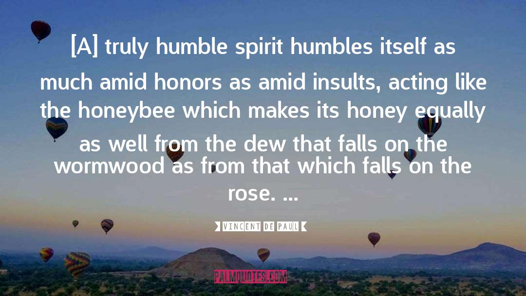 Fall Like A Rose Petal quotes by Vincent De Paul