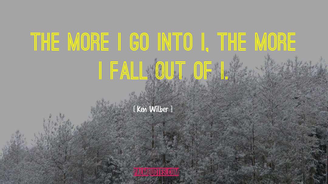 Fall Out Boy quotes by Ken Wilber