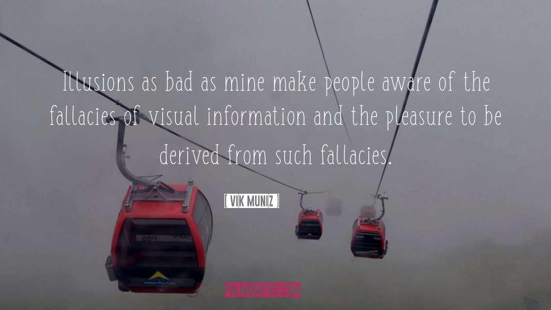 Fallacies quotes by Vik Muniz